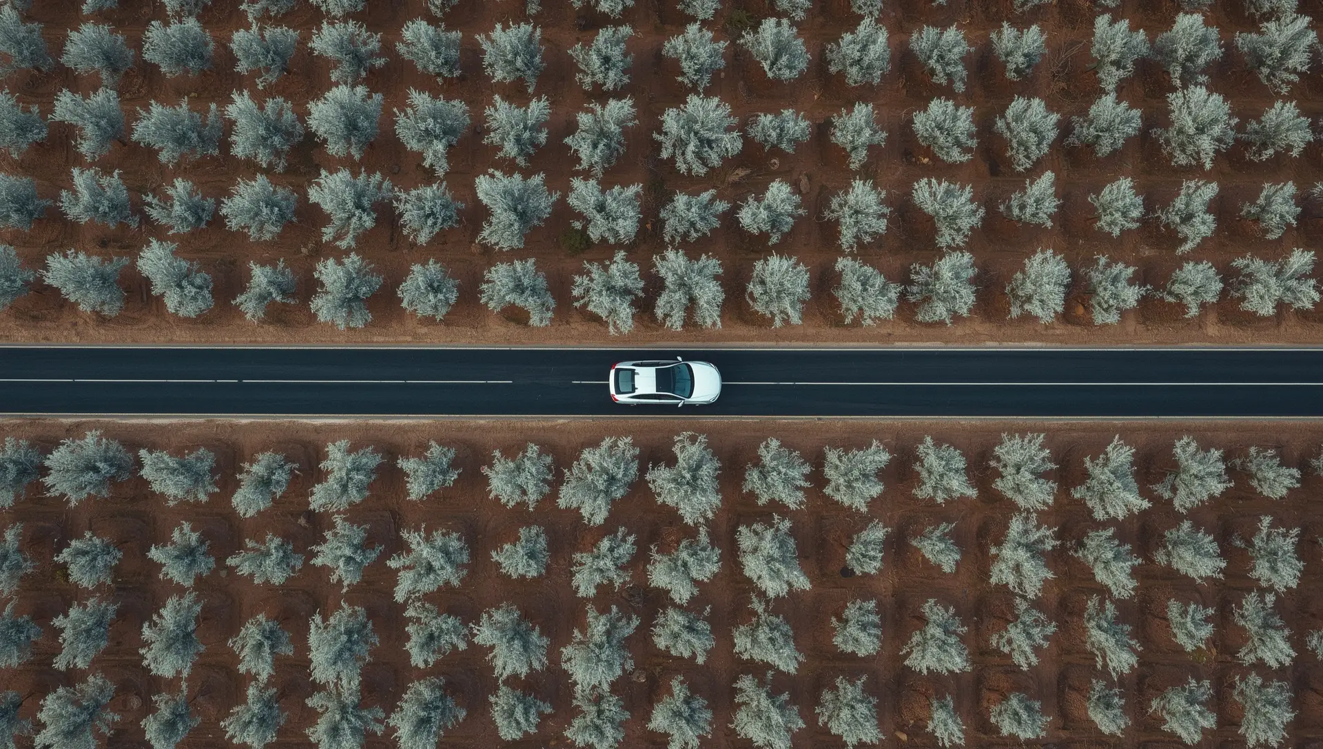 Strada panoramica nell'entroterra pugliese